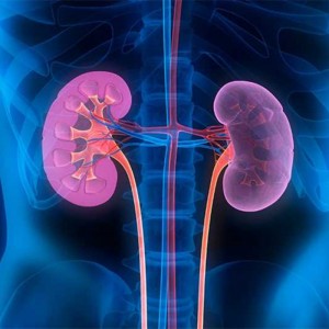 What is kidney failure?