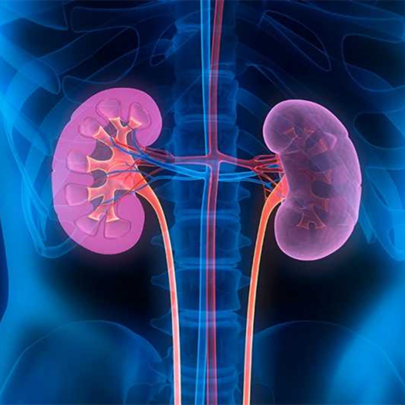 What is kidney failure?