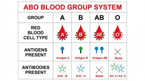 Blood type