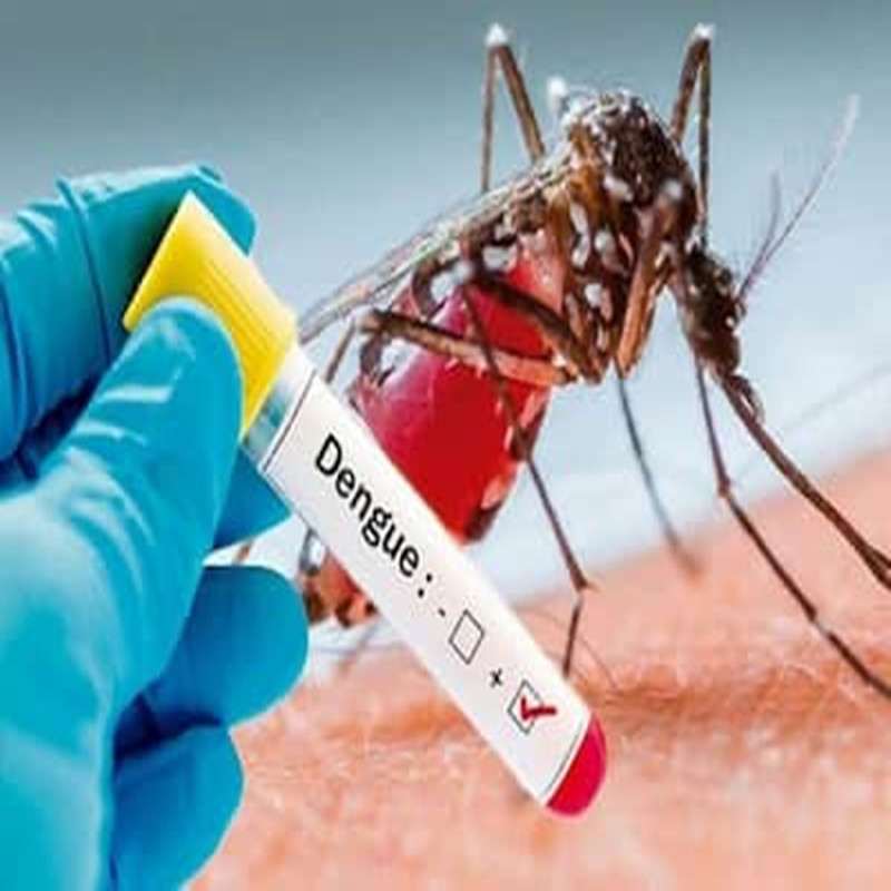 Do you know the test methods of dengue fever ?