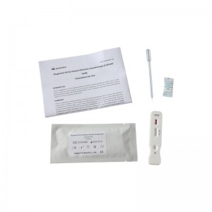 Early Pregnancy Test HCG Human Chorionic Gonadotropin urine rapid test