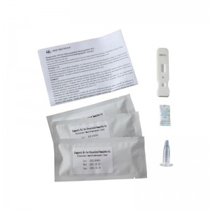 Diagnostic Kit for Glycosylated Hemoglobin A1c