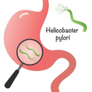 About The Type of Helicobacter Pylori